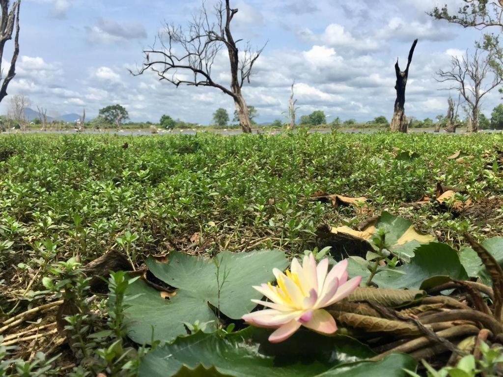 Goddess Garden Sigiriya Hotel Luaran gambar
